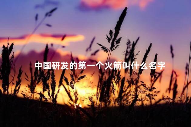 中国研发的第一个火箭叫什么名字 中国研发的第一个火箭叫什么名字