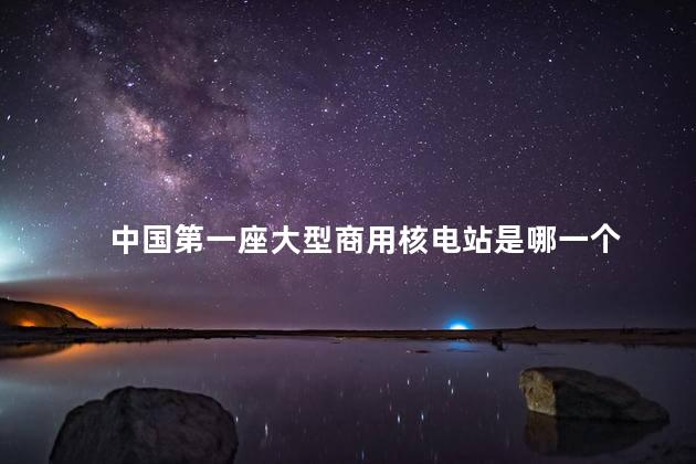中国第一座大型商用核电站是哪一个 中国第一座大型商用核电站是哪一个