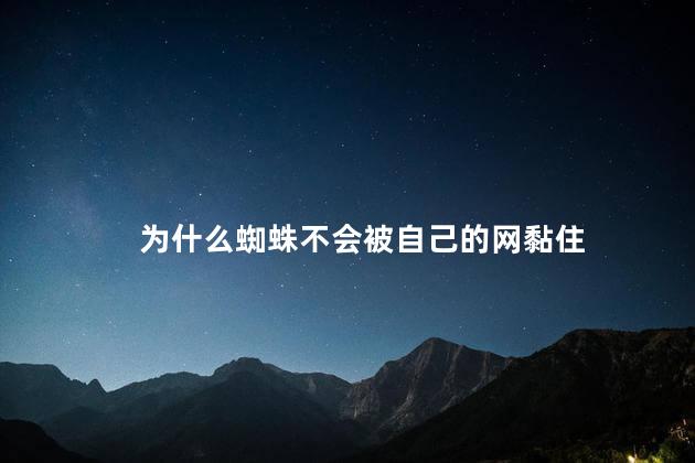 为什么蜘蛛不会被自己的网黏住