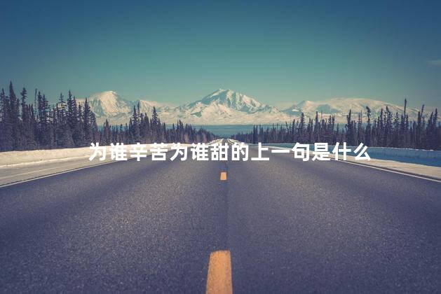 为谁辛苦为谁甜的上一句是什么 为谁辛苦为谁甜的上一句是什么