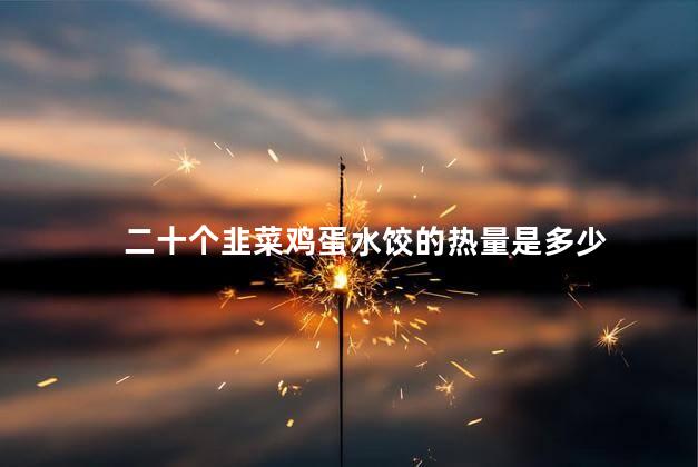 二十个韭菜鸡蛋水饺的热量是多少