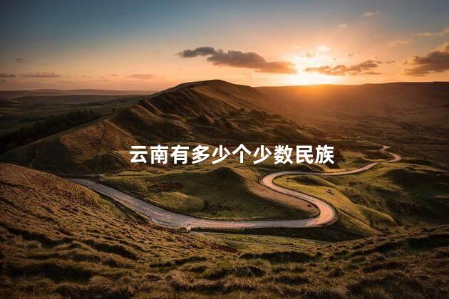 云南有多少个少数民族