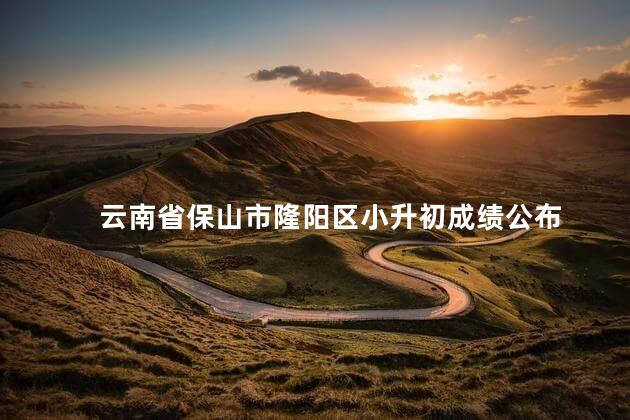 云南省保山市隆阳区小升初成绩公布