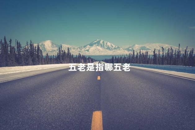 五老是指哪五老