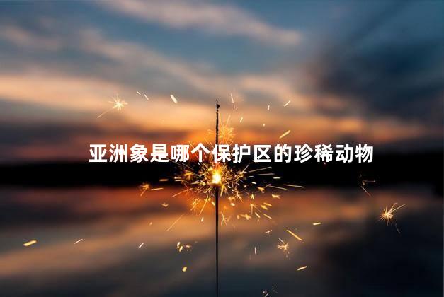 亚洲象是哪个保护区的珍稀动物 亚洲象是哪个保护区的珍稀动物