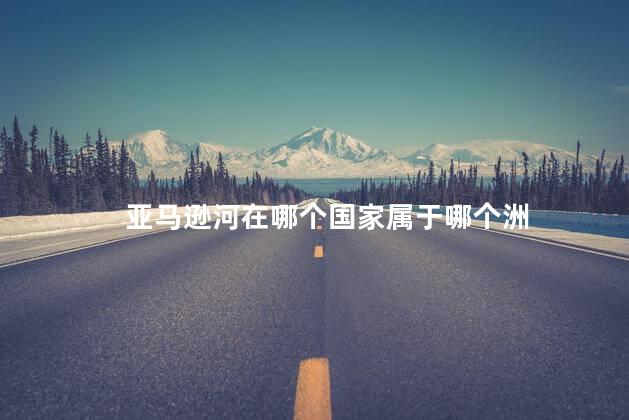 亚马逊河在哪个国家属于哪个洲