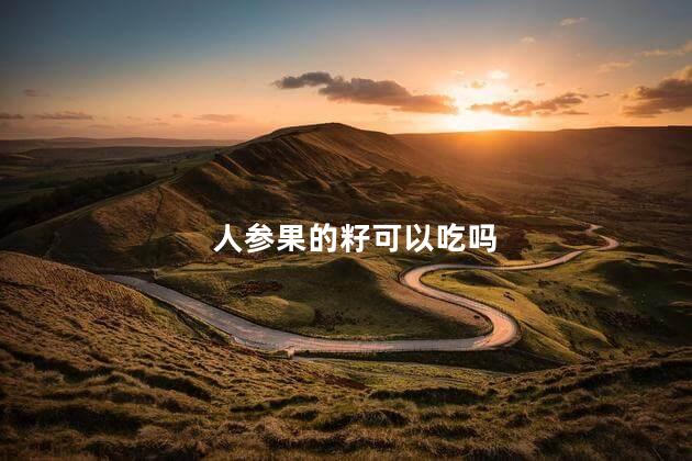 人参果的籽可以吃吗 人参果的籽可以吃吗