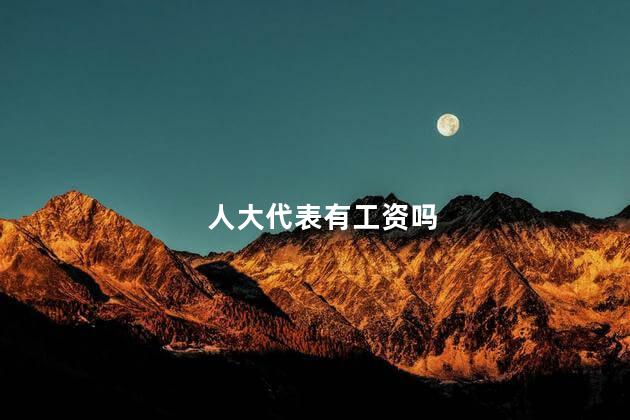 人大代表有工资吗 人大代表有工资吗