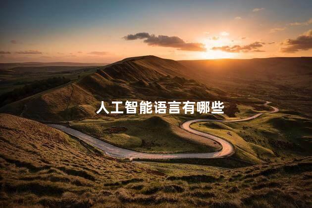 人工智能语言有哪些
