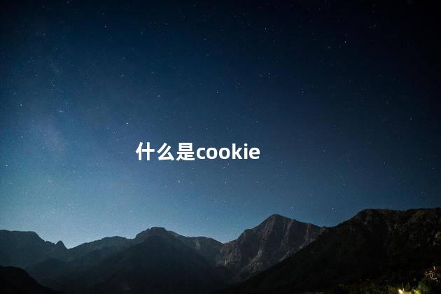 什么是cookie 什么是cookie
