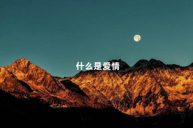 什么是爱情 什么是爱情