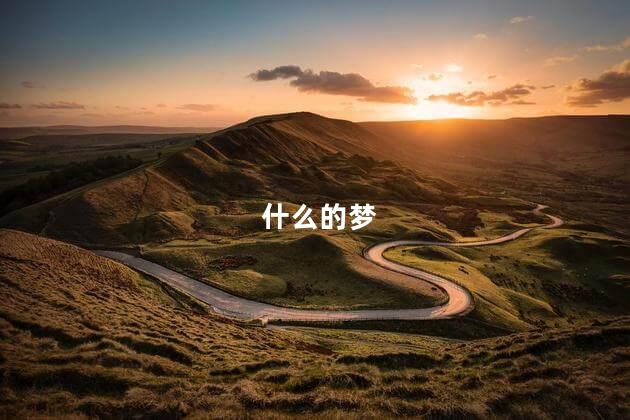 什么的梦