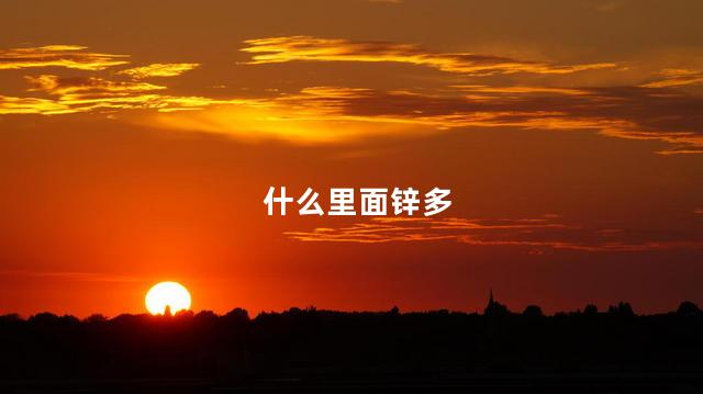 什么里面锌多