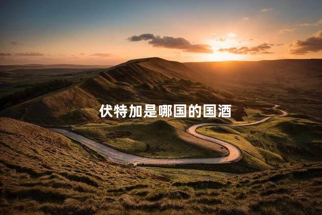 伏特加是哪国的国酒 伏特加是哪国的国酒