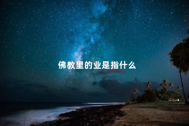 佛教里的业是指什么