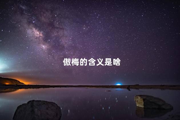 傲梅的含义是啥 傲梅的含义是啥