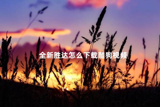 全新胜达怎么下载酷狗视频