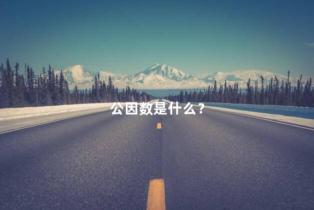 公因数是什么？