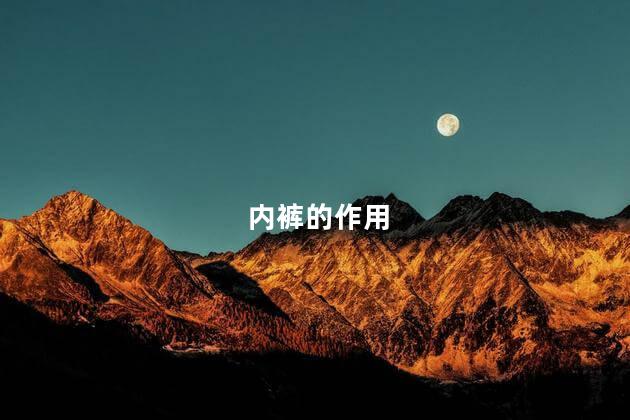 内裤的作用
