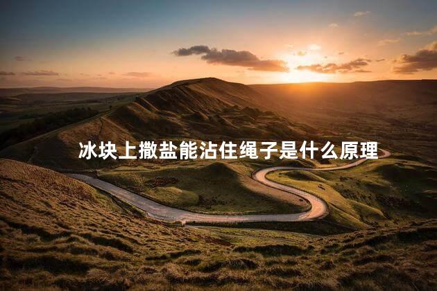 冰块上撒盐能沾住绳子是什么原理