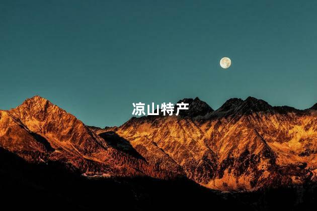 凉山特产 凉山特产