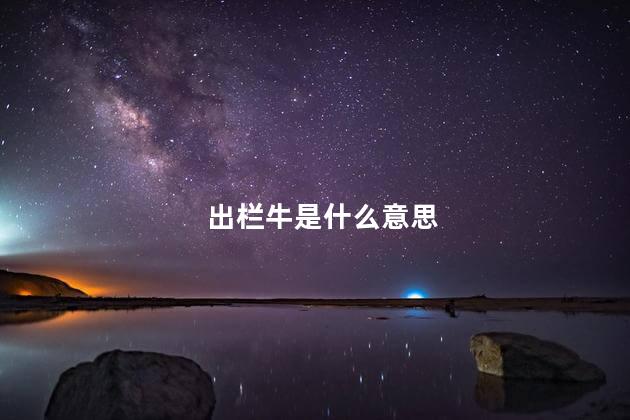 出栏牛是什么意思