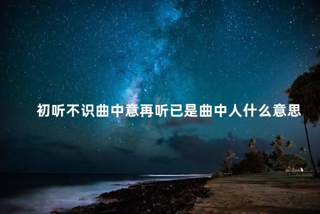 初听不识曲中意再听已是曲中人什么意思
