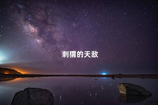 刺猬的天敌