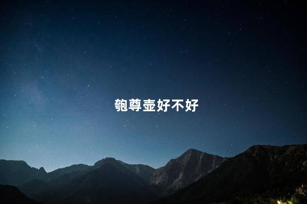 匏尊壶好不好