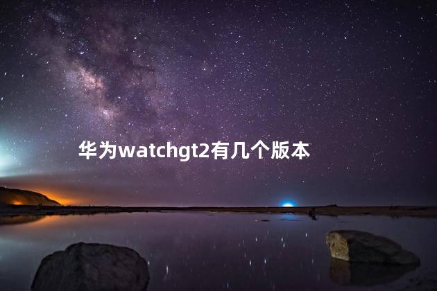 华为watchgt2有几个版本