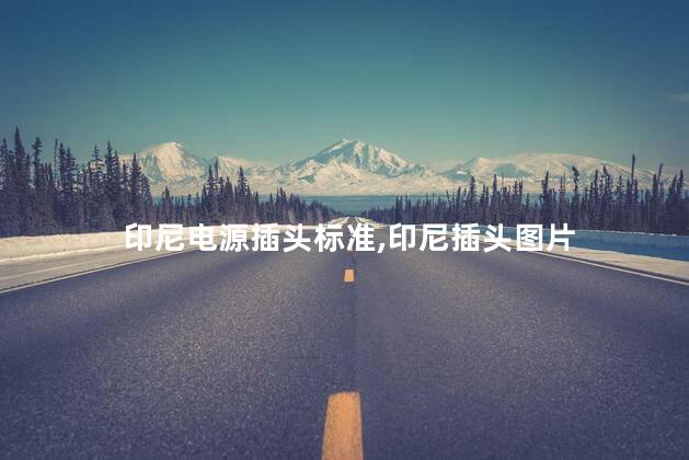 印尼电源插头标准