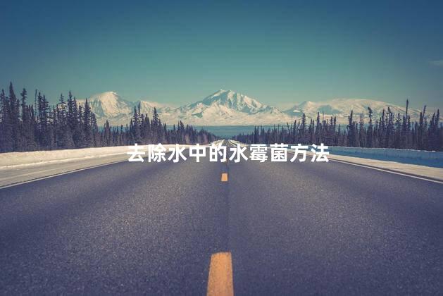 去除水中的水霉菌方法