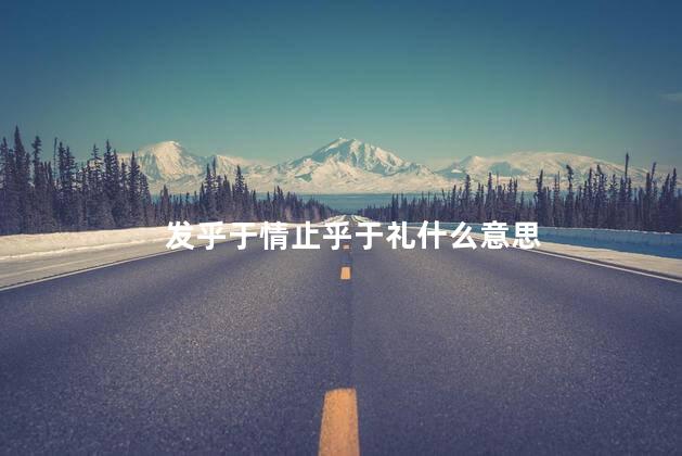 发乎于情止乎于礼什么意思