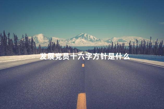 发展党员十六字方针是什么 发展党员十六字方针是什么
