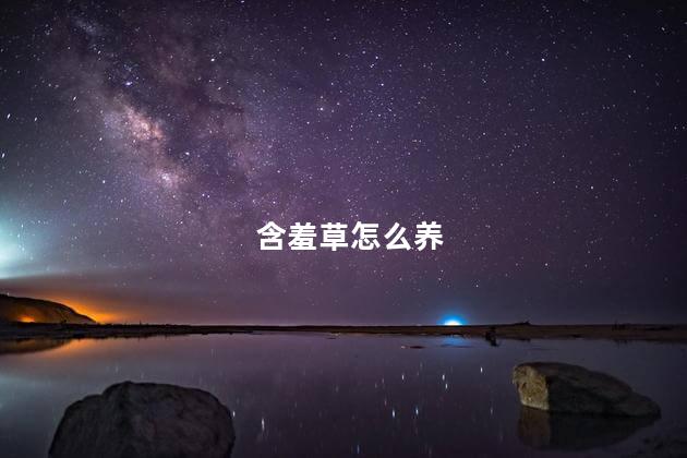含羞草怎么养 含羞草怎么养