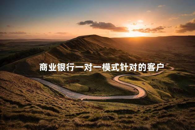 商业银行一对一模式针对的客户