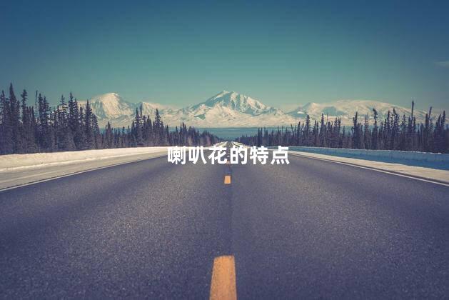 喇叭花的特点