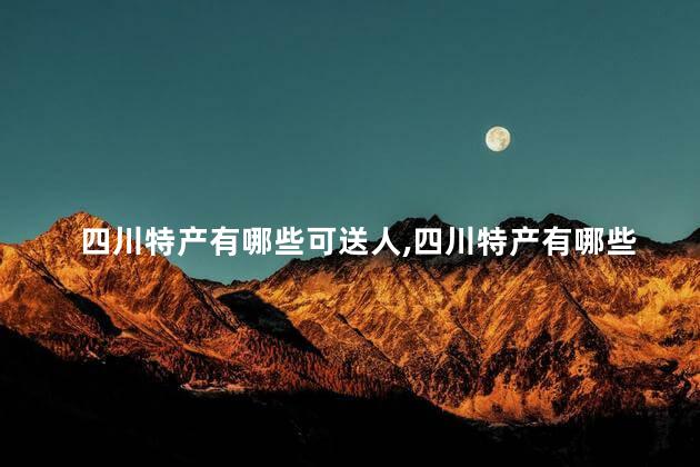 四川特产有哪些可送人