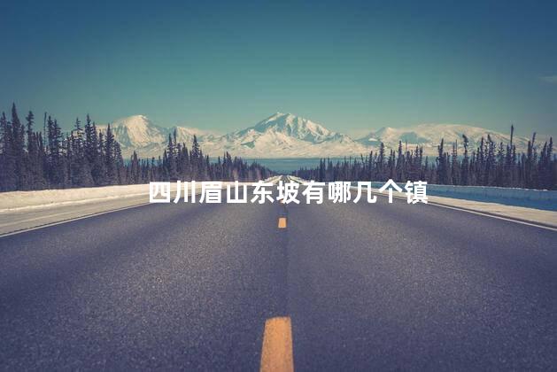 四川眉山东坡有哪几个镇