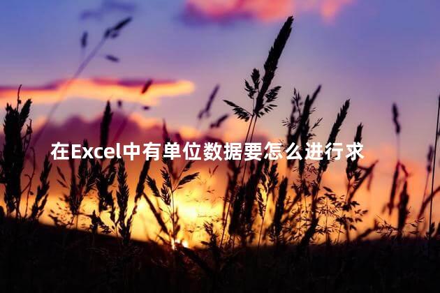 在Excel中有单位数据要怎么进行求和 在Excel中有单位数据要怎么进行求和
