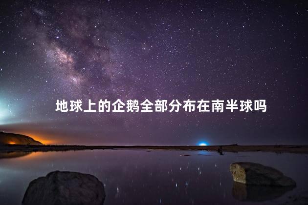 地球上的企鹅全部分布在南半球吗