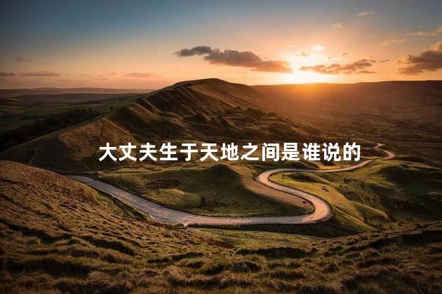 大丈夫生于天地之间是谁说的
