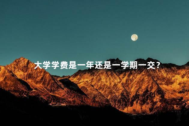 大学学费是一年还是一学期一交？