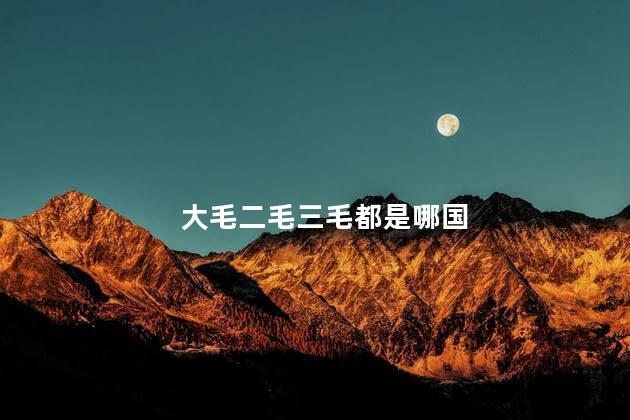 大毛二毛三毛都是哪国 大毛二毛三毛都是哪国