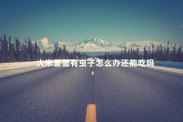大米里面有虫子怎么办还能吃吗 大米里面有虫子怎么办还能吃吗
