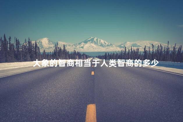 大象的智商相当于人类智商的多少 大象的智商相当于人类智商的多少
