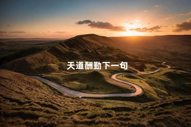 天道酬勤下一句