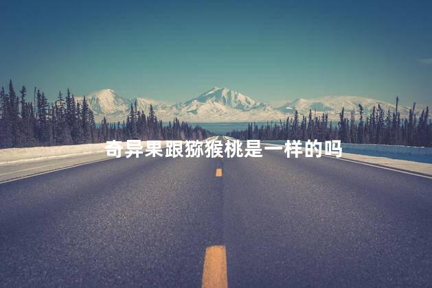 奇异果跟猕猴桃是一样的吗 奇异果跟猕猴桃是一样的吗