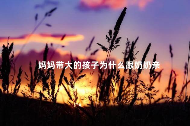 妈妈带大的孩子为什么跟奶奶亲