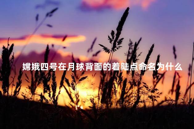 嫦娥四号在月球背面的着陆点命名为什么